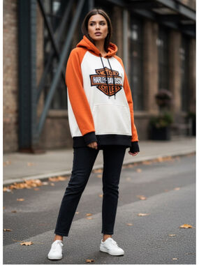 Harley-Davidson Vintage Colorblock Sweatshirt & Hoodie Size M (18” PTP)